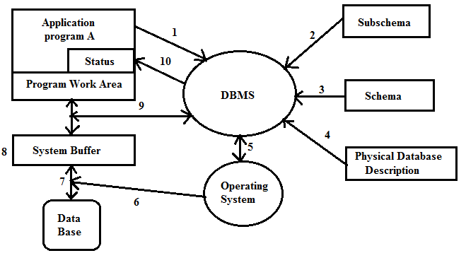 Database Management System