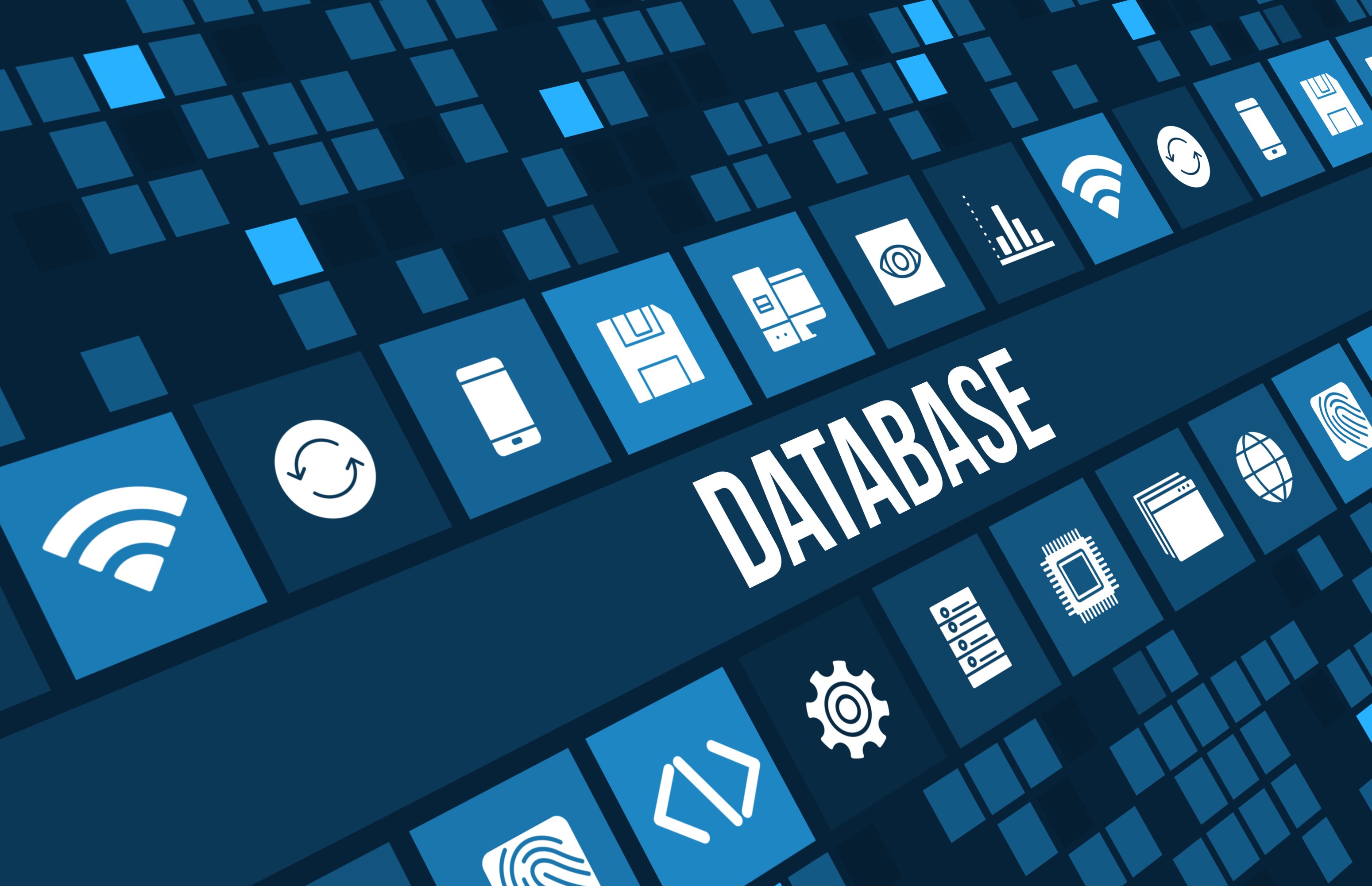 what is database